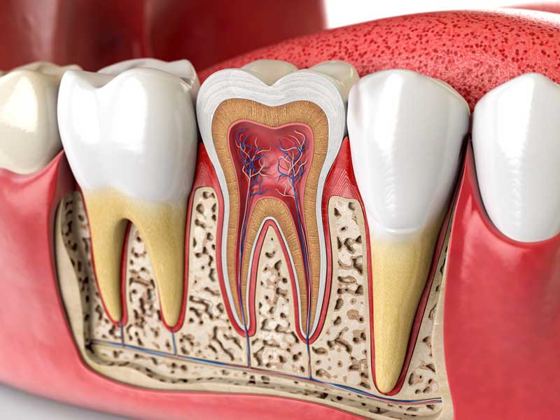 معرفی 8 دندانپزشکی خوب در تهران